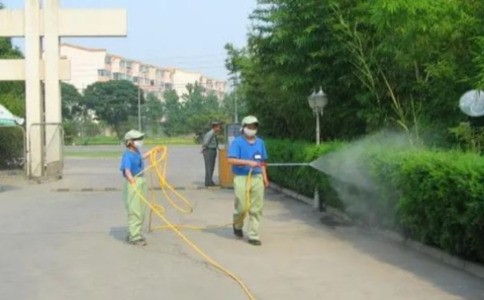 上海白蚁防治所揭秘：如何有效防止白蚁侵害您的家园